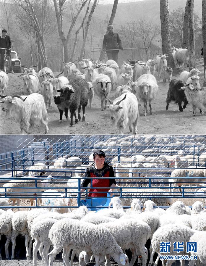 (新華全媒頭條·圖文互動)(4)不忘初心使命 永立時代潮頭——寫在中國共產(chǎn)黨成立98周年之際