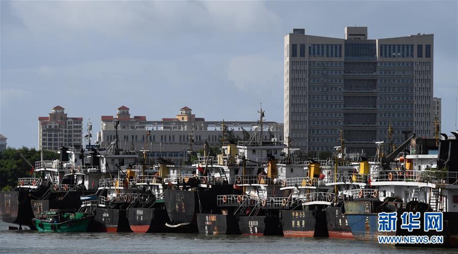 （社會(huì)）（1）?？冢捍盎馗郾芘_(tái)風(fēng)