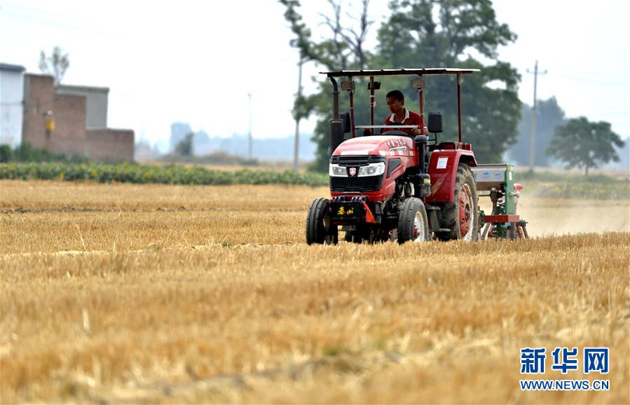 （新華全媒頭條&middot;圖文互動）（8）一個傳統(tǒng)農(nóng)業(yè)縣的脫貧之路&mdash;&mdash;來自河北新河的調(diào)查報告