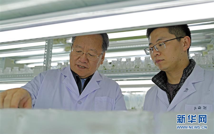 (新華全媒頭條·圖文互動(dòng))(2)和蔬菜“說話”的人——中國工程院院士李天來的“棚菜人生”