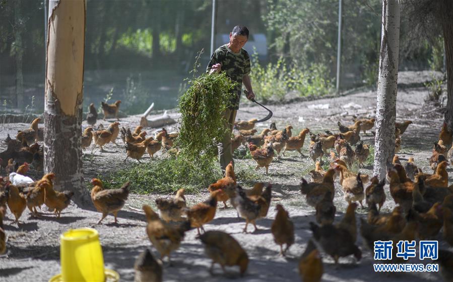 （新華全媒頭條&middot;圖文互動）（6）同心援疆，&ldquo;壯闊&rdquo;祖國西北角