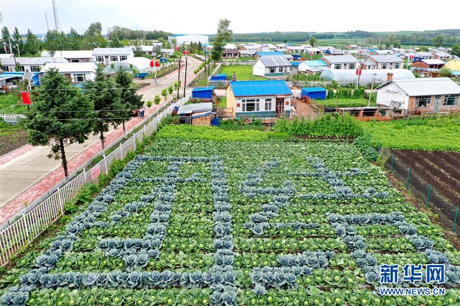 (圖文互動)(1)(在習近平新時代中國特色社會主義思想指引下——新時代新作為新篇章)“團結(jié)”振興團結(jié)村——黑龍江拜泉縣團結(jié)村凝聚民心攻堅脫貧