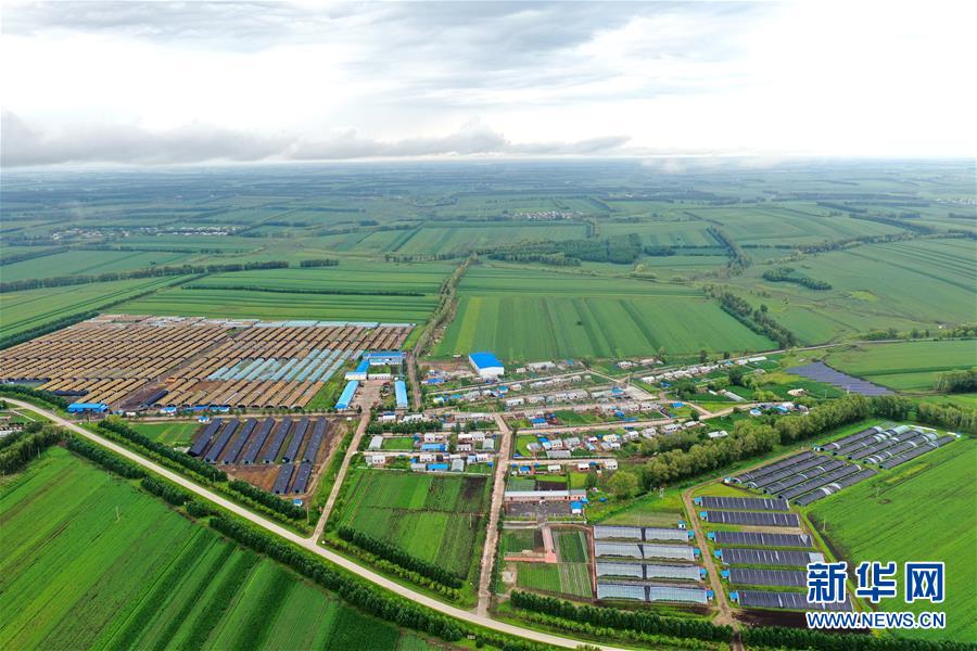(圖文互動)(2)(在習近平新時代中國特色社會主義思想指引下——新時代新作為新篇章)“團結(jié)”振興團結(jié)村——黑龍江拜泉縣團結(jié)村凝聚民心攻堅脫貧