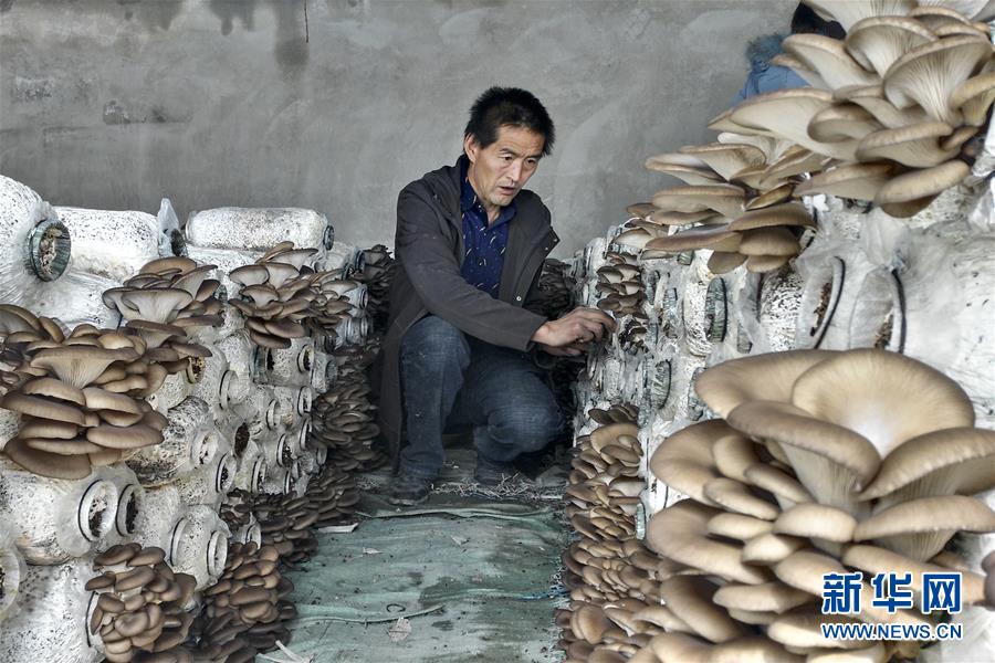 （脫貧攻堅&middot;圖文互動）（3）東達(dá)村脫貧記