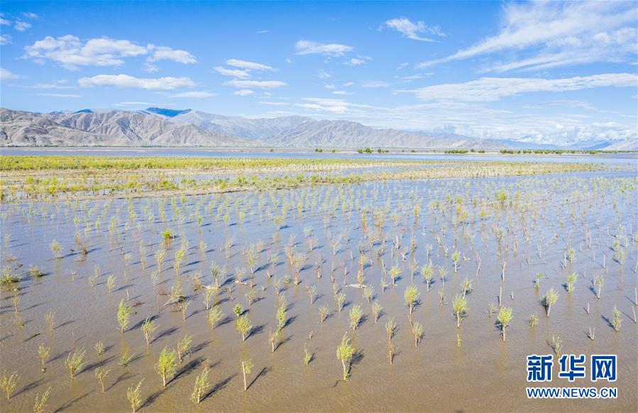 (壯麗70年·奮斗新時(shí)代——共和國發(fā)展成就巡禮·圖文互動(dòng))(9)人間奇跡在高原——新中國成立70年西藏發(fā)展成就紀(jì)實(shí)
