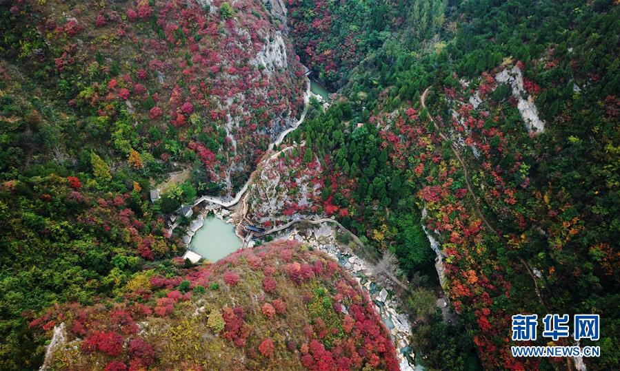 （壯麗70年&middot;奮斗新時(shí)代&mdash;&mdash;共和國(guó)發(fā)展成就巡禮&middot;圖文互動(dòng)）（2）以&ldquo;綠色&rdquo;身姿站上發(fā)展前沿&mdash;&mdash;甘肅綠色轉(zhuǎn)型發(fā)展紀(jì)實(shí)