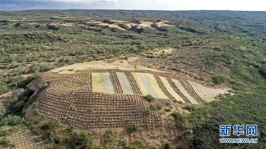 （壯麗70年&middot;奮斗新時(shí)代&mdash;&mdash;共和國發(fā)展成就巡禮&middot;圖文互動(dòng)）（6）生態(tài)美、百姓富&mdash;&mdash;品讀嶄新&ldquo;寧夏畫卷&rdquo;