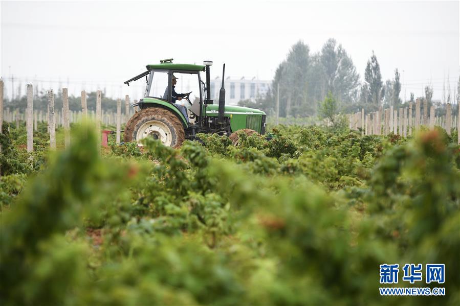 （壯麗70年&middot;奮斗新時(shí)代&mdash;&mdash;共和國發(fā)展成就巡禮&middot;圖文互動(dòng)）（10）生態(tài)美、百姓富&mdash;&mdash;品讀嶄新&ldquo;寧夏畫卷&rdquo;