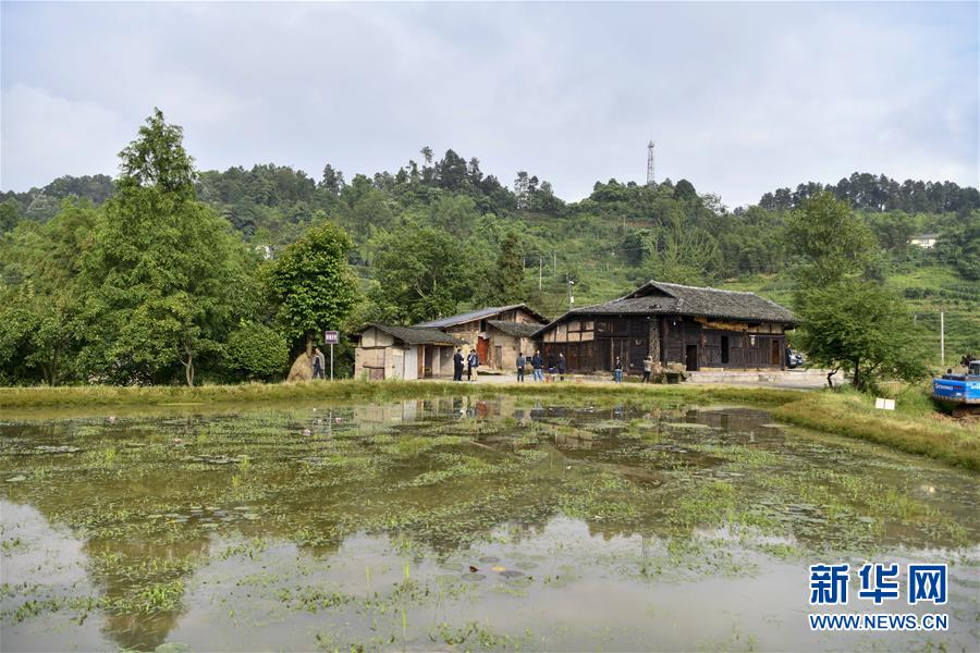 (來自一線的調(diào)查報(bào)告·圖文互動)(2)利益聯(lián)結(jié)強(qiáng)產(chǎn)業(yè) 打通城鄉(xiāng)促振興——重慶涪陵大順鄉(xiāng)鄉(xiāng)村振興觀察