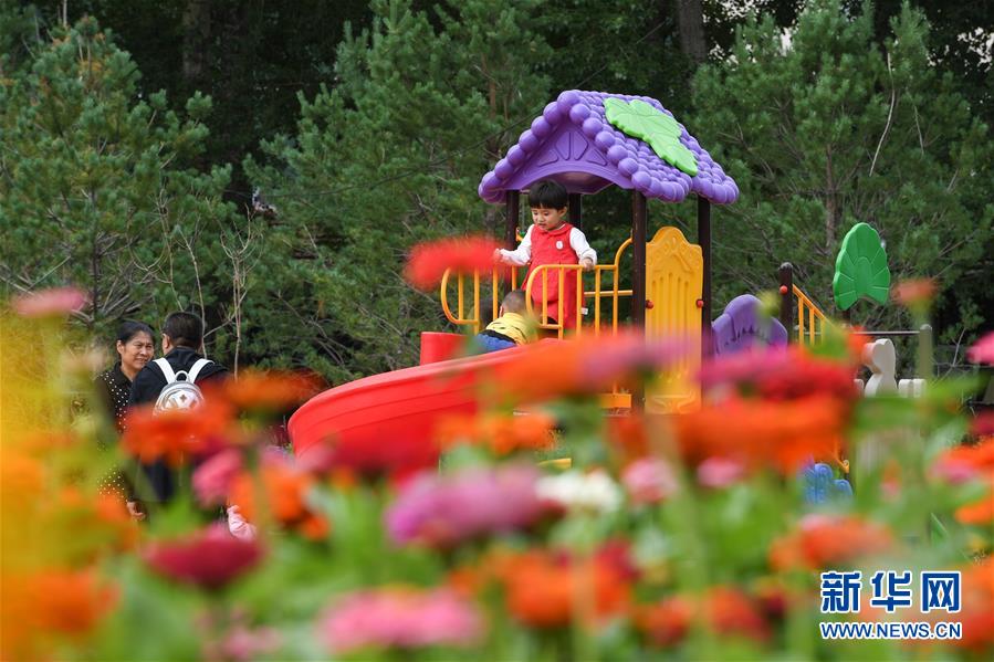 （在習近平新時代中國特色社會主義思想指引下&mdash;&mdash;新時代新作為新篇章&middot;總書記關心的百姓身邊事&middot;圖文互動）（8）棚改的溫暖：1億多人&ldquo;出棚進樓&rdquo;