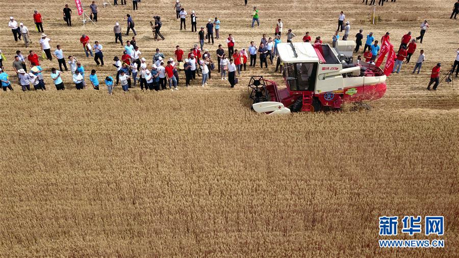 (壯麗70年·奮斗新時代——共和國發(fā)展成就巡禮)(3)看今朝齊風(fēng)魯韻 七十載芳華正勁——新中國成立以來山東領(lǐng)先發(fā)展紀(jì)實(shí)