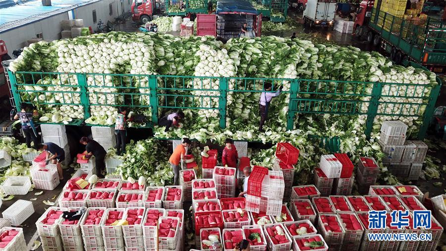 (壯麗70年·奮斗新時代——共和國發(fā)展成就巡禮)(5)看今朝齊風(fēng)魯韻 七十載芳華正勁——新中國成立以來山東領(lǐng)先發(fā)展紀(jì)實(shí)