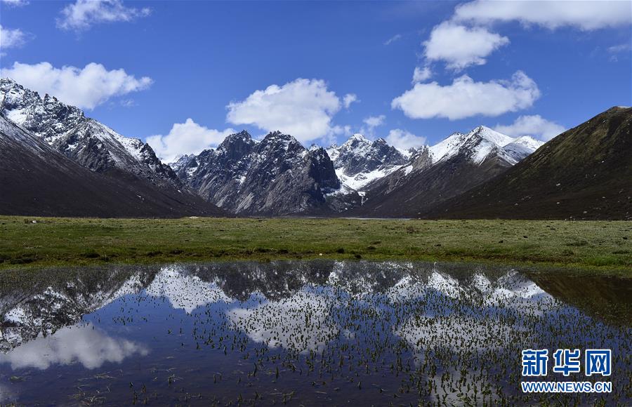 （今日關(guān)注&middot;第一屆國(guó)家公園論壇&middot;圖文互動(dòng)）（6）首個(gè)國(guó)家公園什么樣？專(zhuān)家?guī)阆?ldquo;睹&rdquo;為快