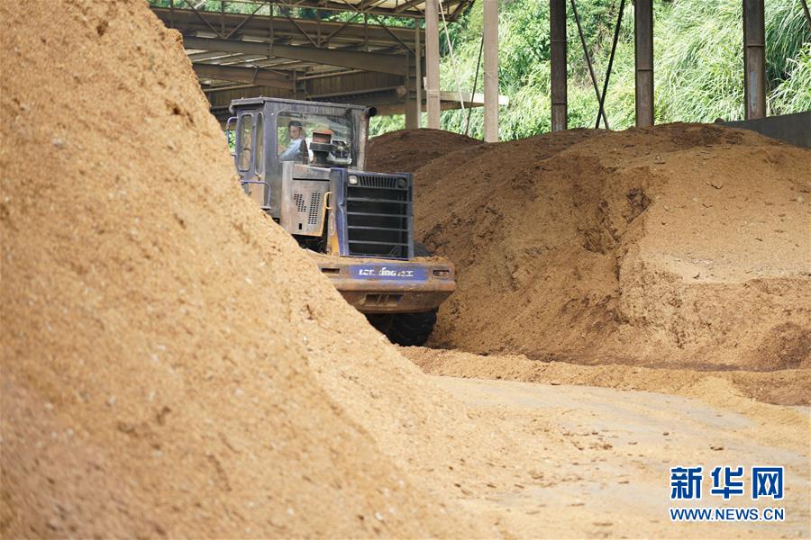 （在習(xí)近平新時(shí)代中國特色社會(huì)主義思想指引下&mdash;&mdash;新時(shí)代新作為新篇章&middot;總書記關(guān)心的百姓身邊事&middot;圖文互動(dòng)）（4）大污染變身&ldquo;大寶藏&rdquo;：治理畜禽糞污，他們這樣干！