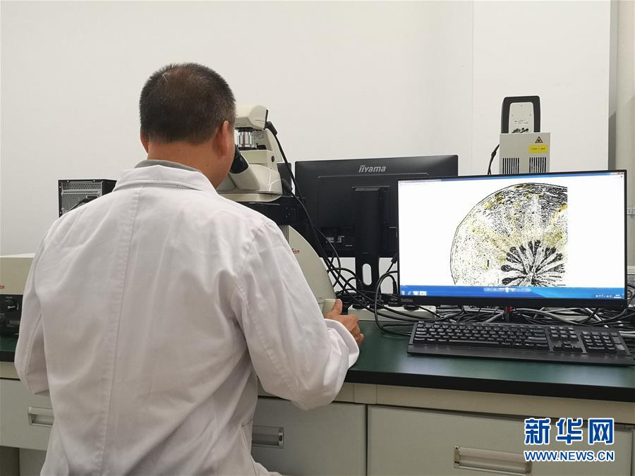 （新華調(diào)查&middot;新中國考古重大發(fā)現(xiàn)&middot;圖文互動(dòng)）（5）?；韬睿翰粌H僅是&ldquo;黃金大墓&rdquo;