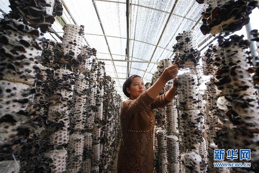 （新華全媒頭條&middot;決戰(zhàn)決勝脫貧攻堅(jiān)&middot;圖文互動）（6）以沖刺的狀態(tài)跑出決勝的姿態(tài)&mdash;&mdash;&ldquo;三區(qū)三州&rdquo;甘肅深貧區(qū)脫貧攻堅(jiān)報(bào)告