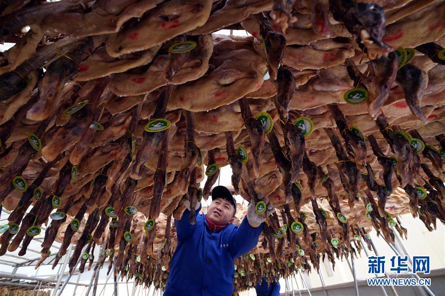 （壯麗70年&middot;奮斗新時代&mdash;&mdash;共和國發(fā)展成就巡禮&middot;圖文互動）（3）人民至上的生動實(shí)踐&mdash;&mdash;共和國民生發(fā)展成就巡禮