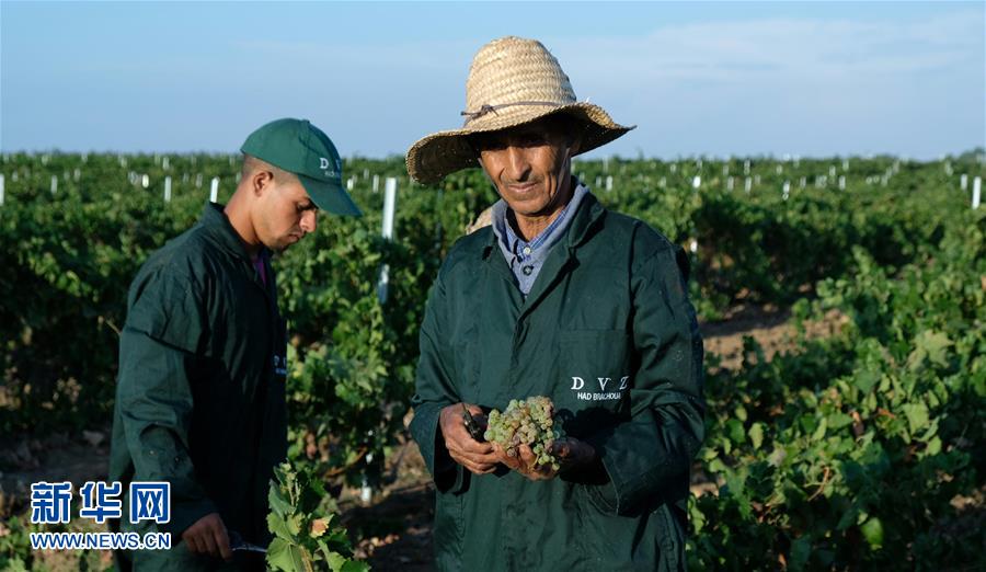 （新華全媒頭條&middot;圖文互動）（9）攜手鑄就非凡夢想&mdash;&mdash;寫在習近平主席提出構建更加緊密的中非命運共同體一周年之際