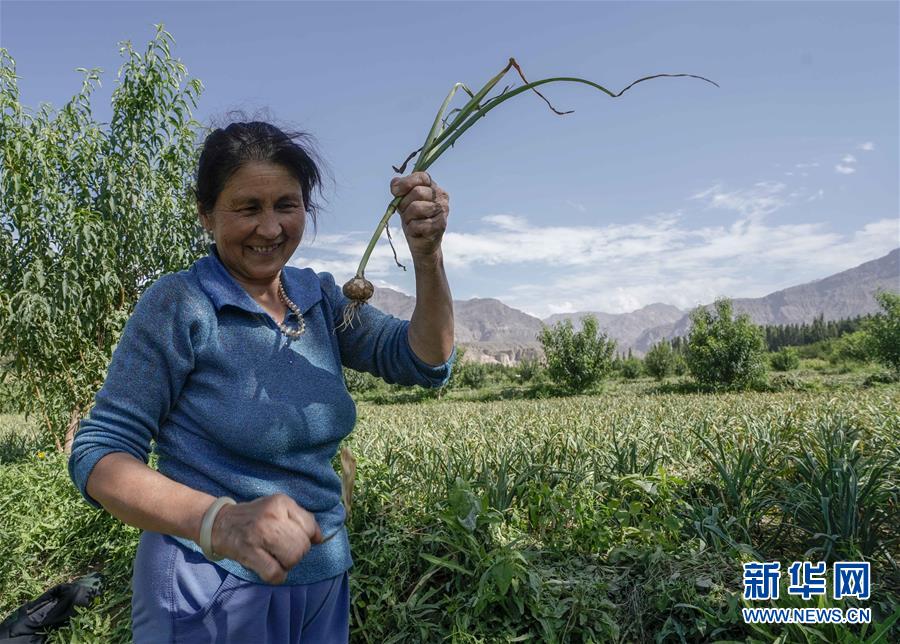 (決戰(zhàn)決勝脫貧攻堅(jiān)·圖文互動(dòng))(1)記者手記:尋訪昆侖“桃花源”的“祛病”良方
