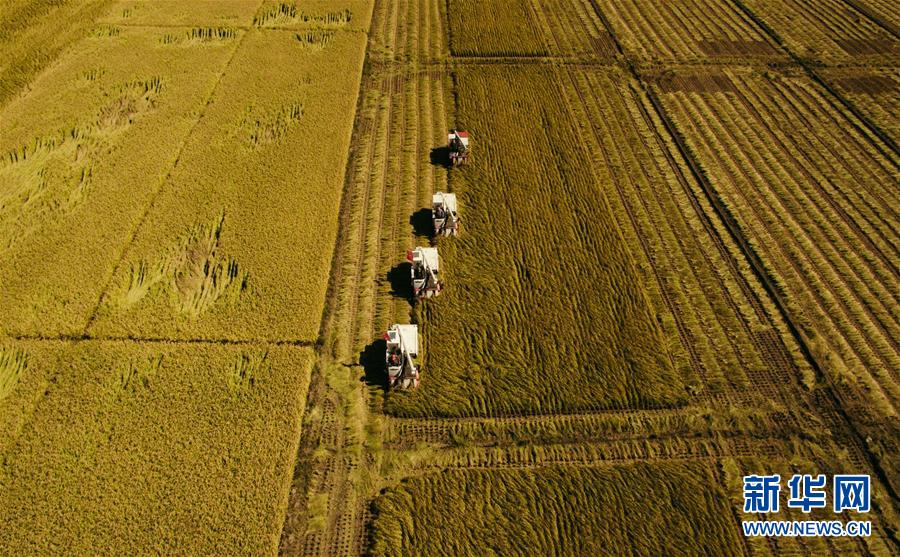 （新華全媒頭條&middot;圖文互動）（5）紅色的傳承，藍圖的起點&mdash;&mdash;新中國孕育與發(fā)展的&ldquo;東北記憶&rdquo;
