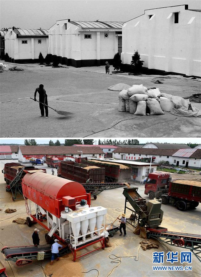 (新華全媒頭條·圖文互動)(9)大國糧倉的新時代交響——河南農(nóng)業(yè)70年觀察