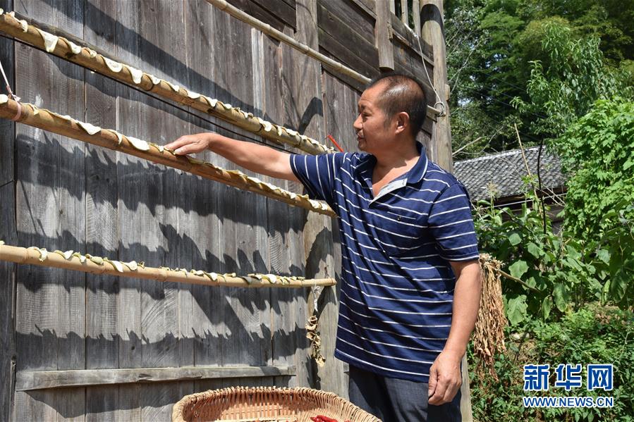 （愛國情 奮斗者&middot;圖文互動）（2）貴州印江高石坎護林隊：半輩子，以林場為家