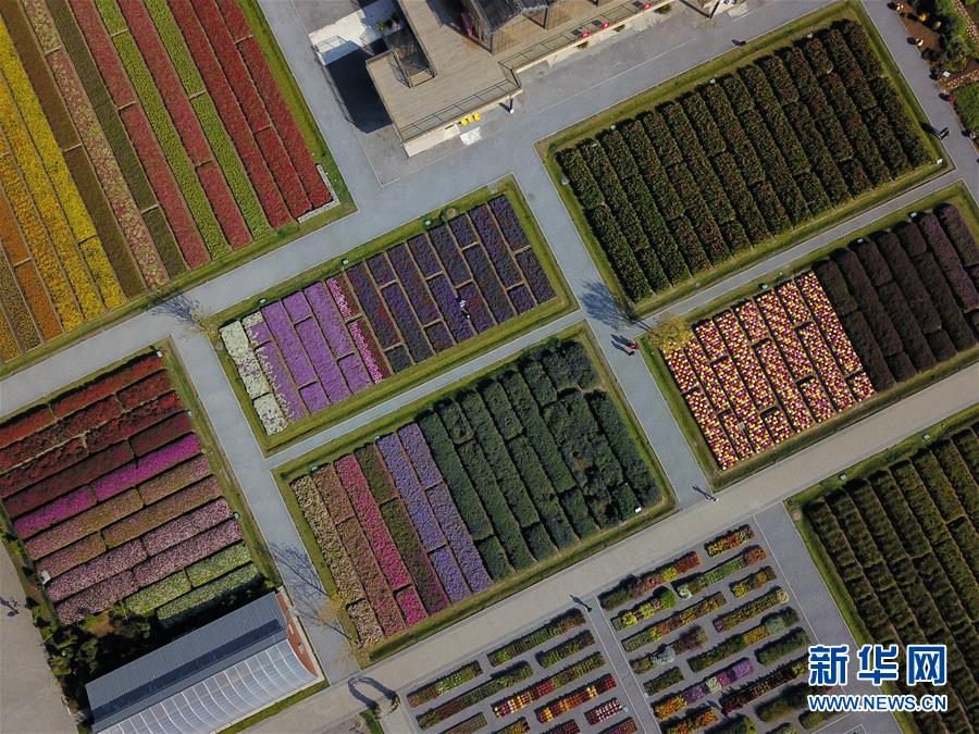 (新華全媒頭條·圖文互動(dòng))(11)難忘的“世園記憶” 共同的綠色追求——寫在北京世園會(huì)閉幕之際