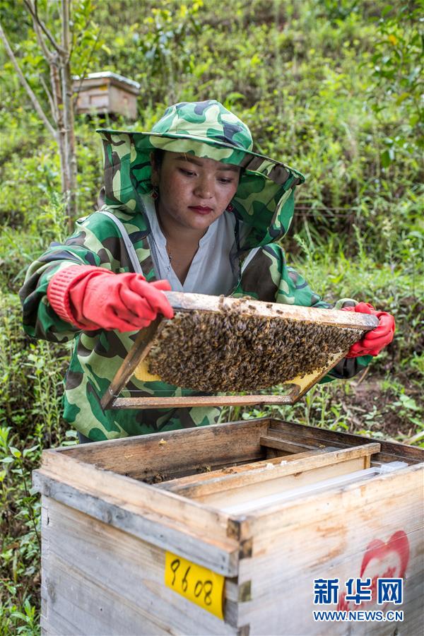（圖文互動(dòng)）（7）太陽照耀&ldquo;人類童年&rdquo;&mdash;&mdash;新時(shí)代直過民族脫貧攻堅(jiān)紀(jì)事