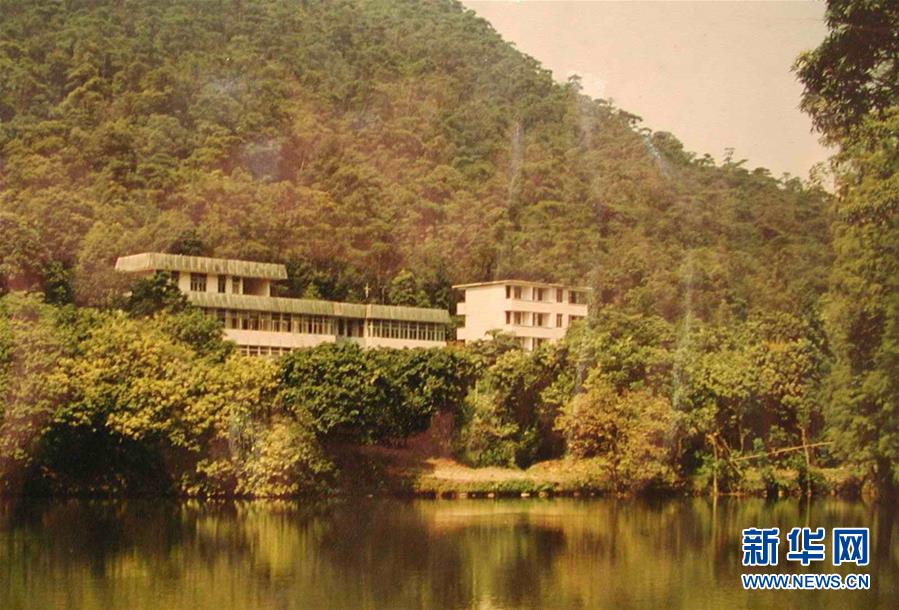 （圖文互動(dòng)）（4）科學(xué)接續(xù)保護(hù) 守住生態(tài)紅線&mdash;&mdash;探訪&ldquo;北回歸沙漠帶上的綠色明珠&rdquo;