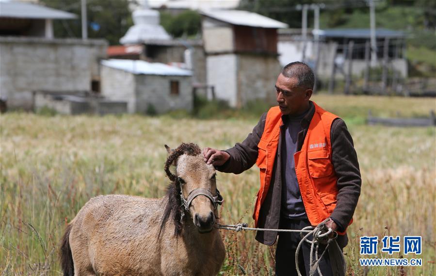 (新華全媒頭條·決戰(zhàn)決勝脫貧攻堅(jiān)·圖文互動(dòng))(4)為了人與自然和諧共生——云南“三江并流”地區(qū)決戰(zhàn)精準(zhǔn)脫貧的“生態(tài)畫(huà)卷”