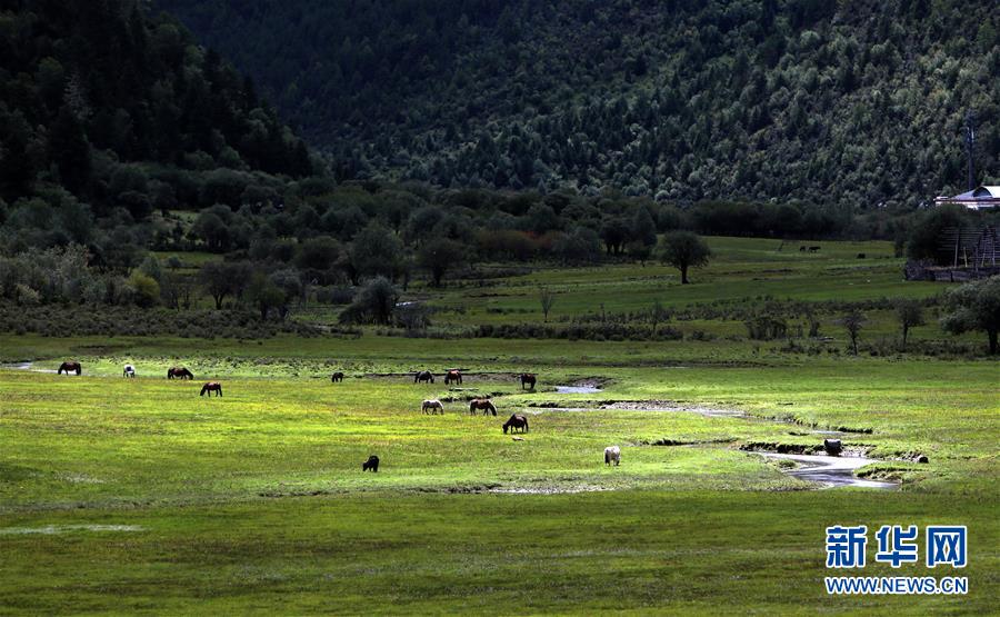 (新華全媒頭條·決戰(zhàn)決勝脫貧攻堅(jiān)·圖文互動(dòng))(7)為了人與自然和諧共生——云南“三江并流”地區(qū)決戰(zhàn)精準(zhǔn)脫貧的“生態(tài)畫(huà)卷”