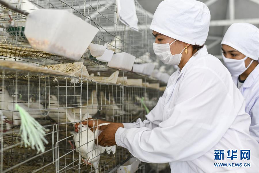 (決戰(zhàn)決勝扶貧攻堅(jiān)·圖文互動(dòng))(5)凝心聚力奔小康——新疆南疆四地州脫貧攻堅(jiān)成就綜述