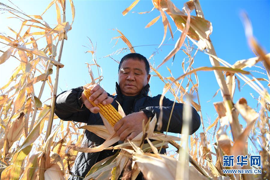 （在習(xí)近平新時(shí)代中國(guó)特色社會(huì)主義思想指引下&mdash;&mdash;新時(shí)代新作為新篇章&middot;總書記關(guān)心的百姓身邊事&middot;圖文互動(dòng)）（3）一本&ldquo;村官&rdquo;日記里的扶貧路&mdash;&mdash;小故事里的大情懷之四