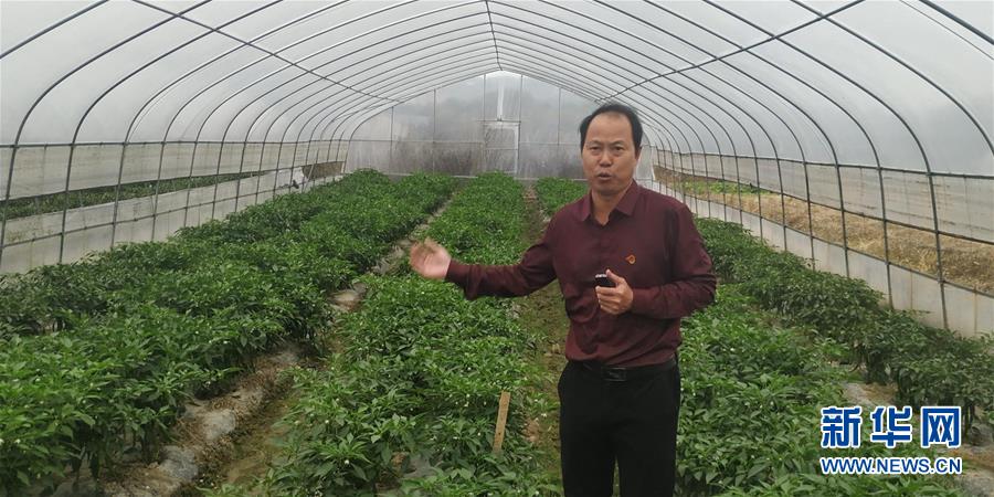 （圖文互動(dòng)）（2）163份留任申請(qǐng)&mdash;&mdash;記江西吉安163位主動(dòng)留任的第一書記