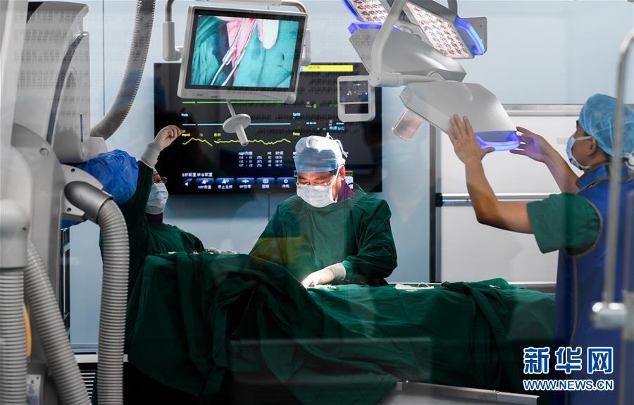 (在習(xí)近平新時(shí)代中國特色社會(huì)主義思想指引下——新時(shí)代新作為新篇章·總書記關(guān)切開放事·圖文互動(dòng))(8)開放的故事講不完——海南開放再“提速”