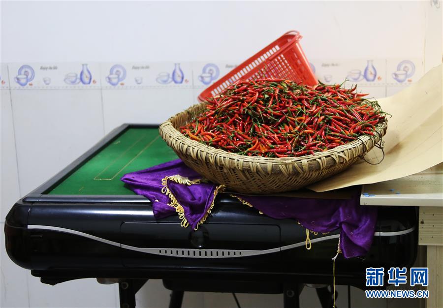 （四中全會(huì)精神在基層&middot;圖文互動(dòng)）（2）特寫(xiě)：麻將桌&ldquo;失業(yè)&rdquo;記