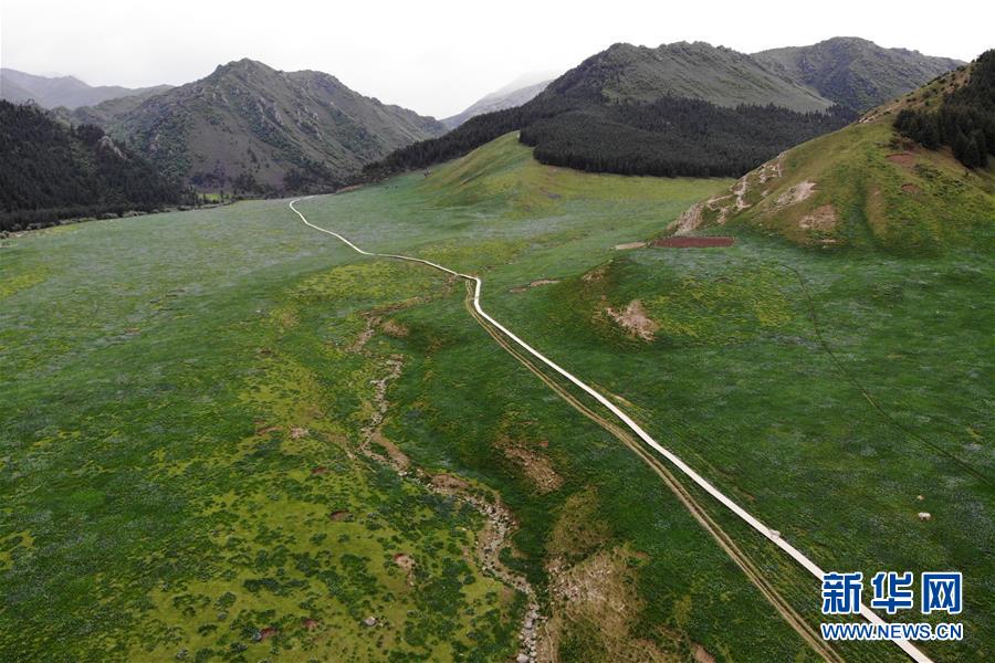 (新華全媒頭條·圖文互動)(10)綠色的啟示——西部地區(qū)生態(tài)問題典型個案再調(diào)查