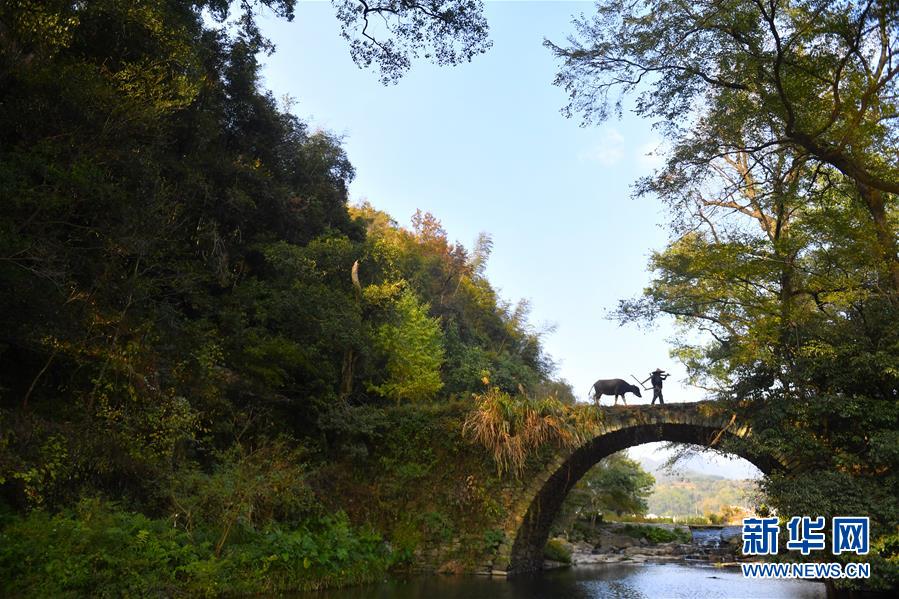（圖文互動）（3）鄉(xiāng)村攝影師、鄉(xiāng)村&ldquo;模特&rdquo;、民宿店主&mdash;&mdash;鄉(xiāng)村旅游推動婺源農(nóng)民生活方式發(fā)生新變化