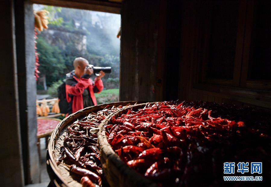 （圖文互動）（6）鄉(xiāng)村攝影師、鄉(xiāng)村&ldquo;模特&rdquo;、民宿店主&mdash;&mdash;鄉(xiāng)村旅游推動婺源農(nóng)民生活方式發(fā)生新變化