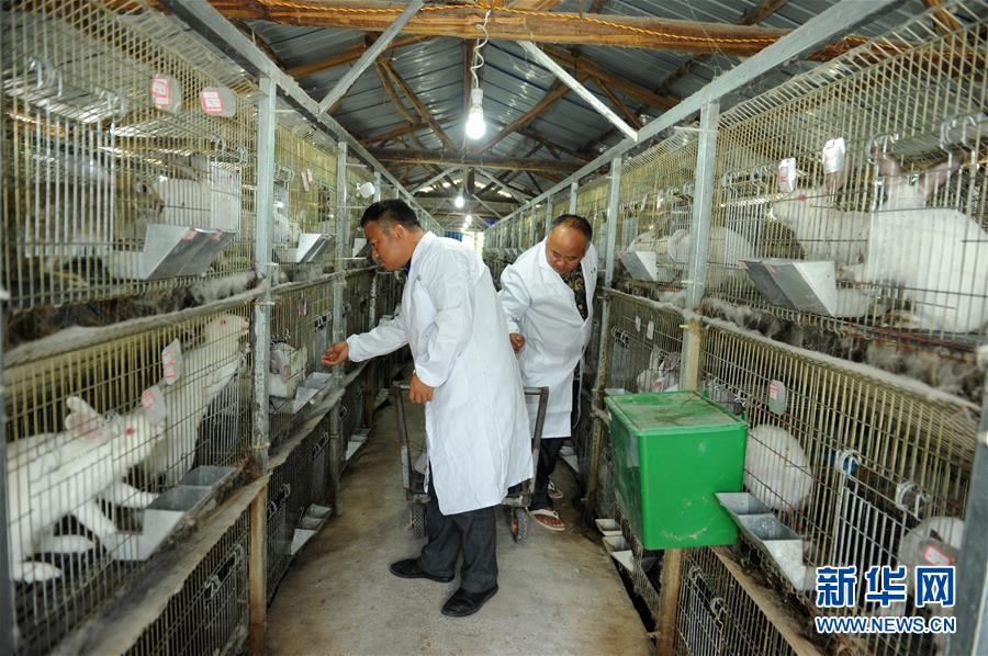 （新華全媒頭條&middot;圖文互動(dòng)）（4）干部去哪兒了？&mdash;&mdash;貴州干部大規(guī)模下沉脫貧攻堅(jiān)一線紀(jì)實(shí)