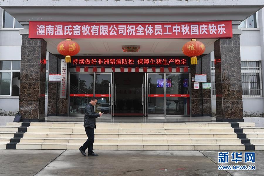 （在習(xí)近平新時(shí)代中國(guó)特色社會(huì)主義思想指引下&mdash;&mdash;新時(shí)代新作為新篇章&middot;總書(shū)記關(guān)切高質(zhì)量發(fā)展&middot;圖文互動(dòng)）（1）穩(wěn)住&ldquo;一頭豬&rdquo;、供好&ldquo;一袋米&rdquo;、配好&ldquo;一籃菜