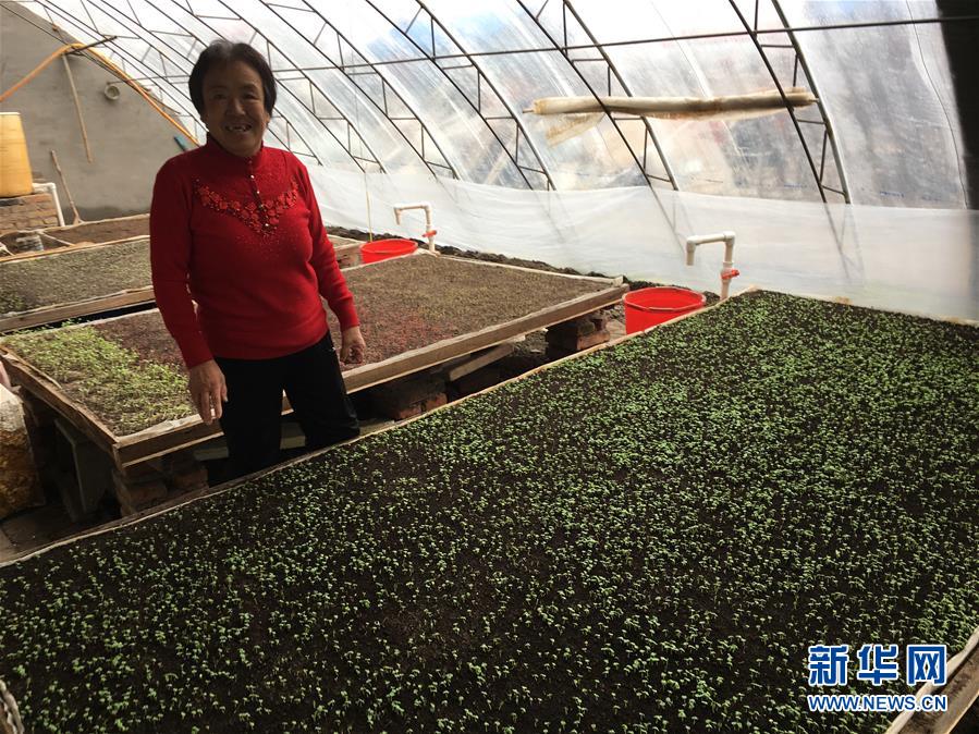 (脫貧攻堅(jiān)·圖文互動(dòng))(1)中國東極故事之三:“花匠”姜連玉的“重生”路