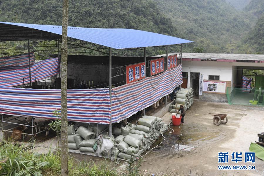 （脫貧攻堅(jiān)&middot;圖文互動(dòng)）（2）為了不讓一個(gè)貧困戶(hù)落下&mdash;&mdash;追記廣西都安縣駐村第一書(shū)記黃景教