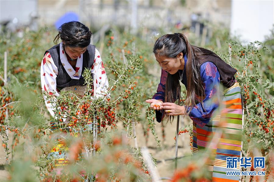 (新華全媒頭條·兩會(huì)特別報(bào)道·圖文互動(dòng))(7)在推進(jìn)高質(zhì)量發(fā)展中創(chuàng)造廣闊空間——從全國(guó)兩會(huì)看奮進(jìn)中國(guó)的發(fā)展機(jī)遇