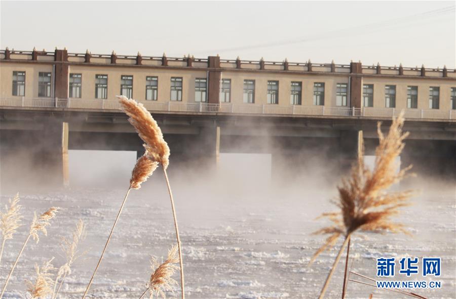 (環(huán)境)(4)黃河三盛公水利樞紐庫(kù)區(qū)出現(xiàn)“水煮黃河”景觀