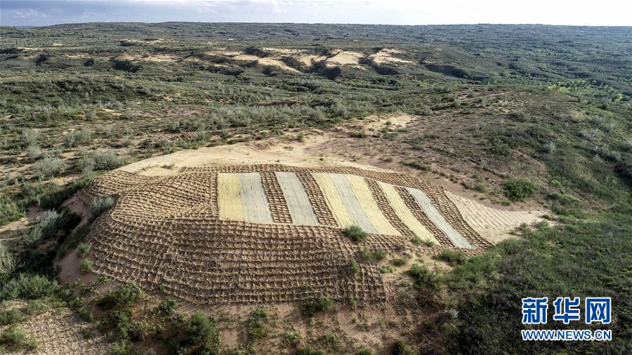 (在習(xí)近平新時代中國特色社會主義思想指引下——新時代新作為新篇章·總書記關(guān)切高質(zhì)量發(fā)展·圖文互動)(1)從一粒沙看不斷擴大的中國綠色版圖