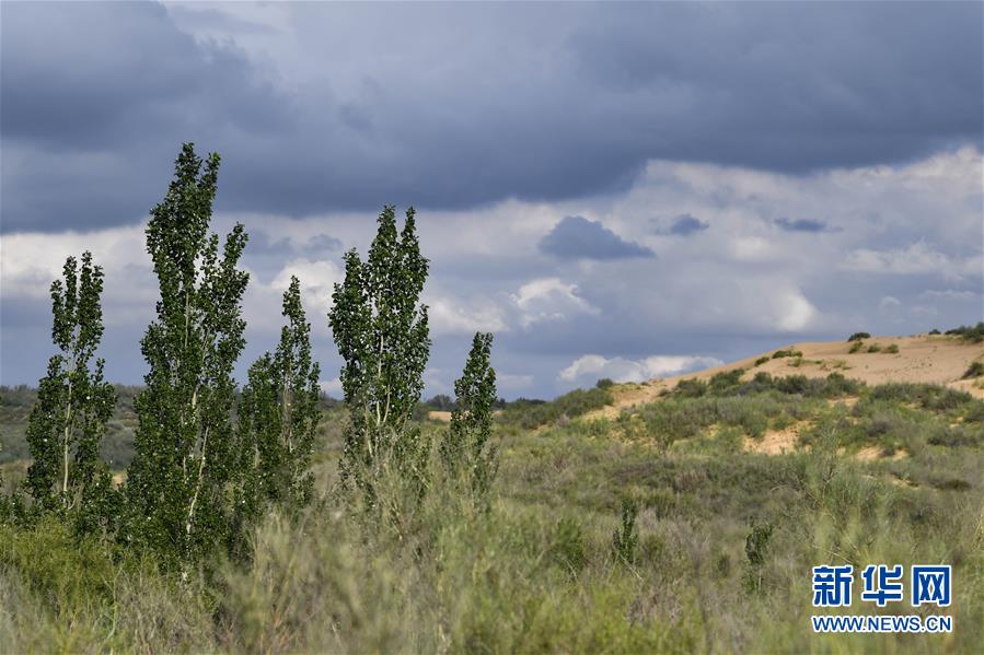 (在習(xí)近平新時代中國特色社會主義思想指引下——新時代新作為新篇章·總書記關(guān)切高質(zhì)量發(fā)展·圖文互動)(2)從一粒沙看不斷擴大的中國綠色版圖