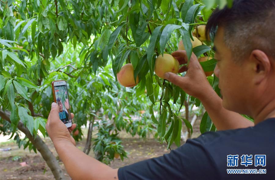 (在習(xí)近平新時代中國特色社會主義思想指引下——新時代新作為新篇章·總書記關(guān)切脫貧事·決勝貧困·圖文互動)(6)讓一方水土“富養(yǎng)”一方人——扶貧特色產(chǎn)業(yè)惠及千家萬戶