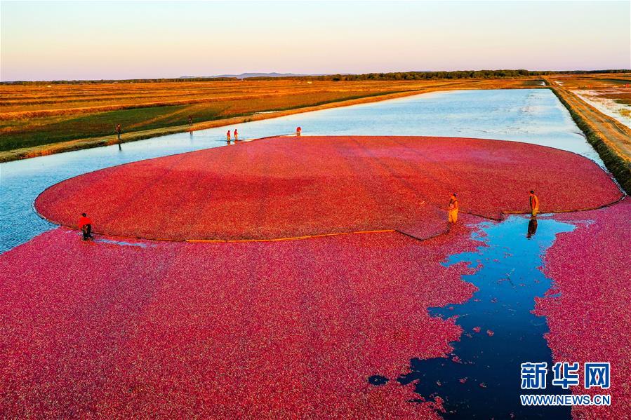 (圖文互動(dòng))(9)從“輕工漁網(wǎng)重工馬掌”到“圓夢(mèng)小康”——“中國(guó)東極”脫貧攻堅(jiān)剪影
