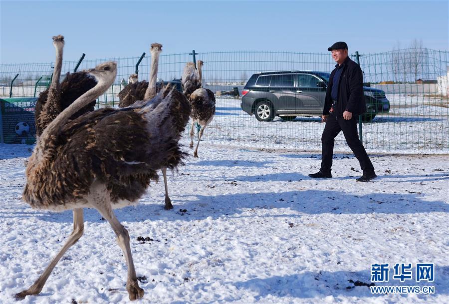 (新春走基層·圖文互動(dòng))(3)“貨郎干部”扶貧記